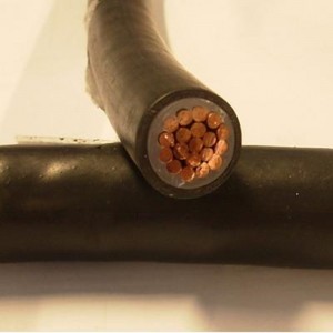 16 Mm  XLPE Insulated Power Cable For CSA Standard