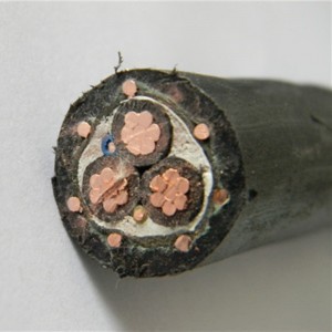 Aerial Service Split Concentric Cable XLPE Insulation 3x10mm2 Standard ASTM IEC BS
